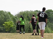 OTFL Gallery Image